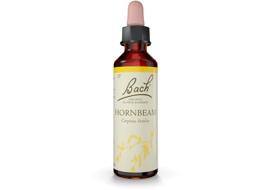 Bach Original Flower Essence Remedy Hornbeam, 20ml