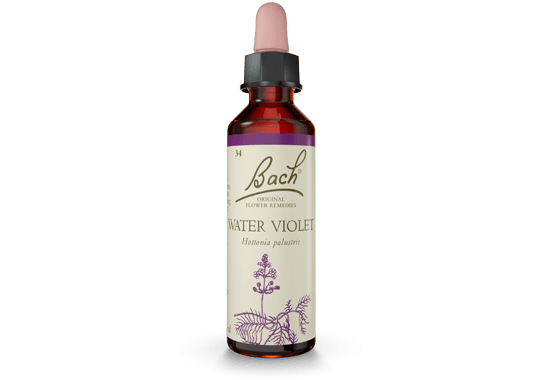 Bach Original Flower Essence Remedy, 20ml - NZ Health Store