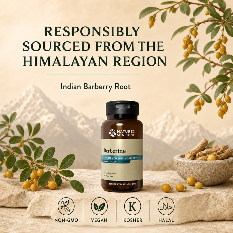 Natures Sunshine Berberine, 90 vcaps