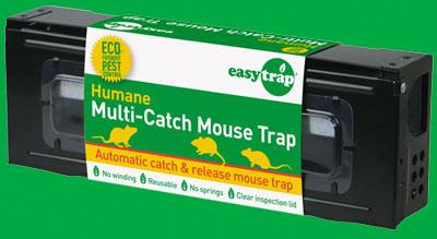 Easy Trap Humane Multi-Catch Mouse Trap - NZ Health Store
