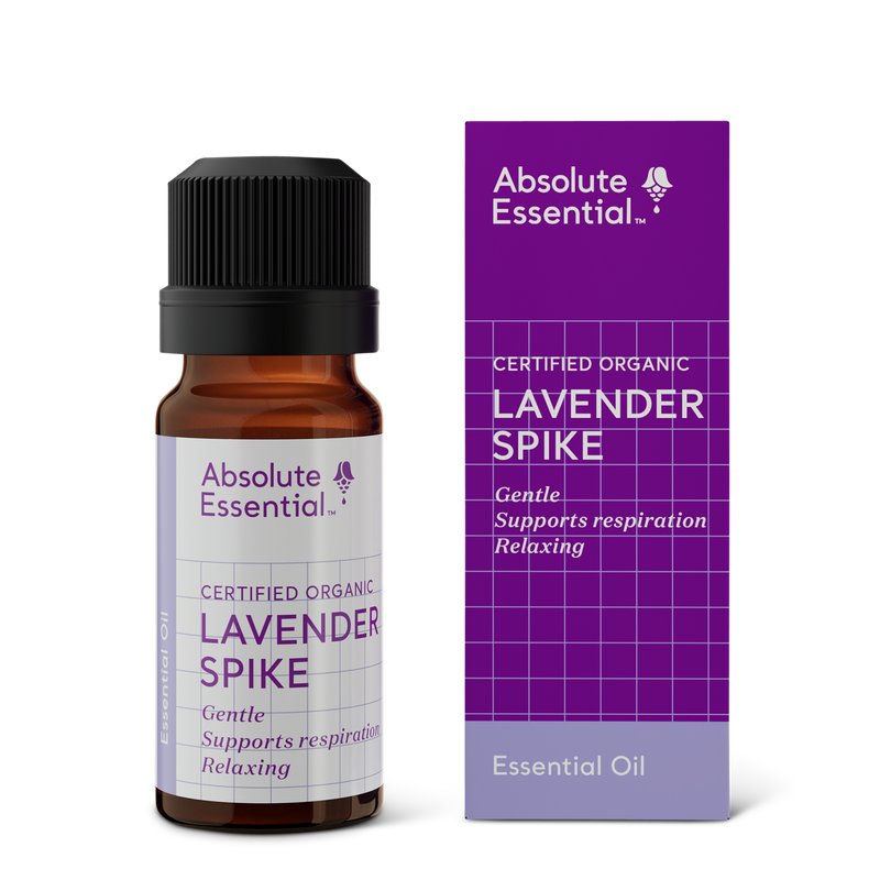 Absolute Essential Lavender Spike (Organic), 10ml
