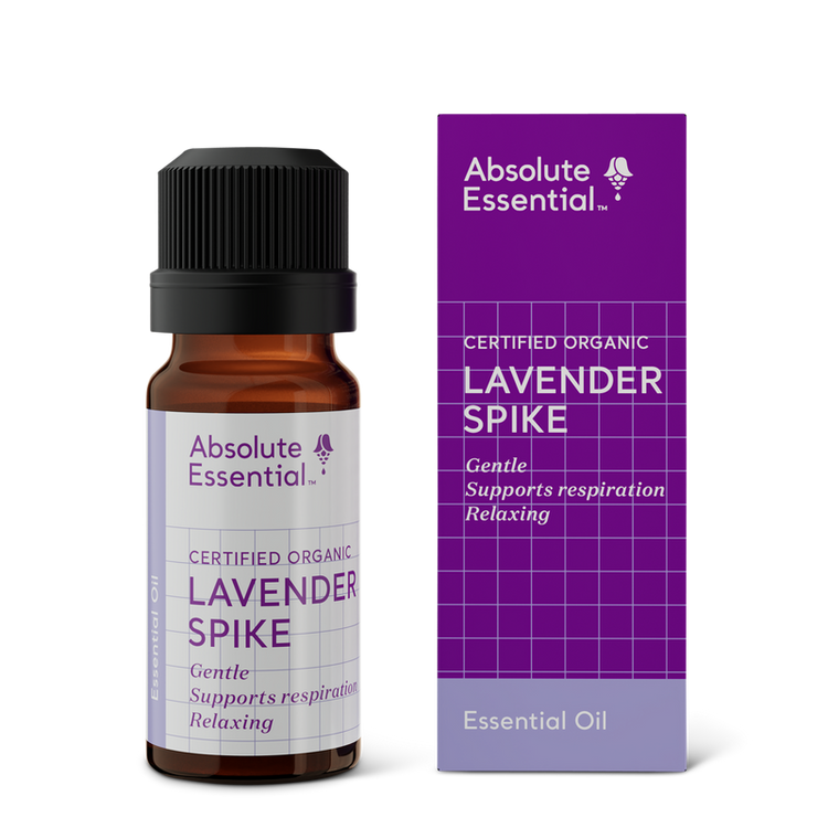 Absolute Essential Lavender Spike (Organic), 10ml