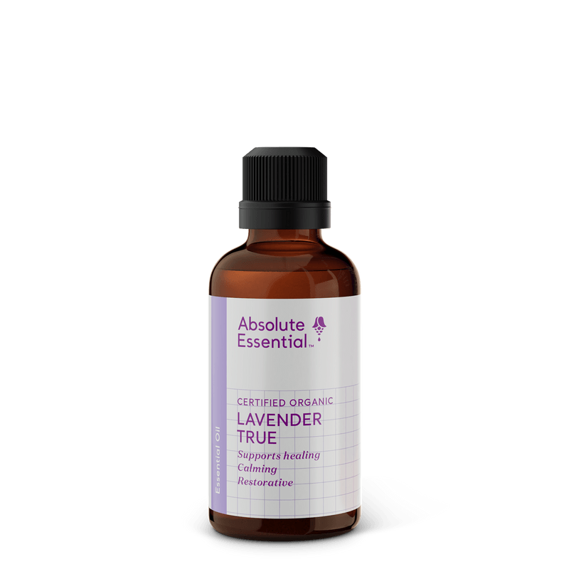 Absolute Essential Lavender True (Organic) - NZ Health Store