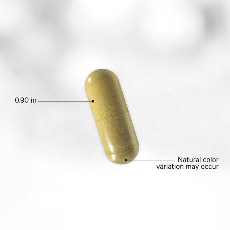 Codeage Men's Fermented Multivitamin+ 120 Vegetable Capsules