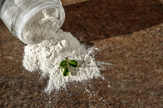 Diatomaceous earth poured out of a jar with a sprig of leaves
