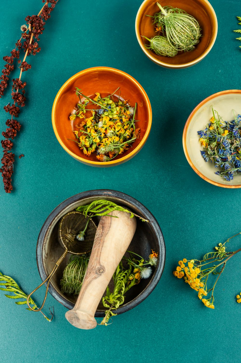 Ancient Herbs for Modern Wellness