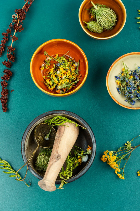 Ancient Herbs for Modern Wellness