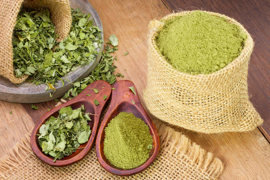 Fresh moringa powder and leaves