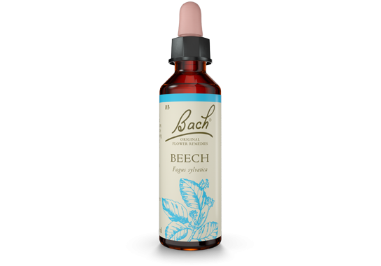 Bach Original Flower Essence Remedy Beech, 20ml