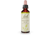 Bach Original Flower Essence Remedy Chestnut Bud, 20ml