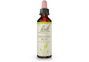 Bach Original Flower Essence Remedy Chestnut Bud, 20ml