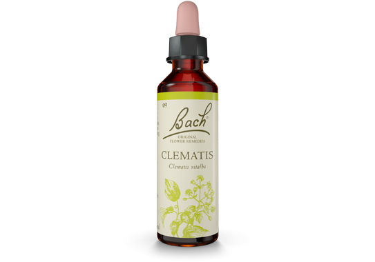 Bach Original Flower Essence Remedy Clematis, 20ml