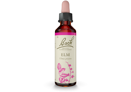 Bach Original Flower Essence Remedy Elm, 20ml