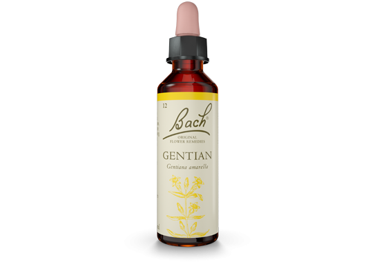 Bach Original Flower Essence Remedy Gentian, 20ml