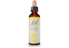 Bach Original Flower Essence Remedy Gorse, 20ml