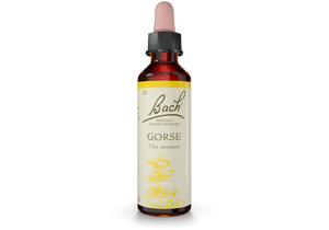 Bach Original Flower Essence Remedy Gorse, 20ml