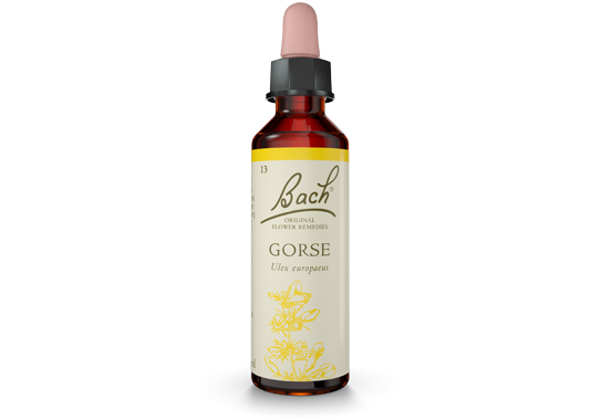 Bach Original Flower Essence Remedy Gorse, 20ml