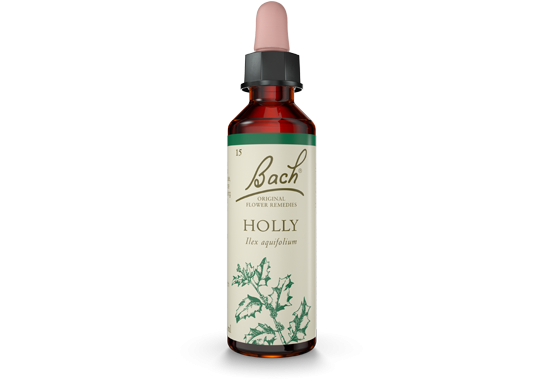 Bach Original Flower Essence Remedy Holly, 20ml