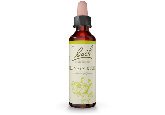 Bach Original Flower Essence Remedy Honeysuckle, 20ml