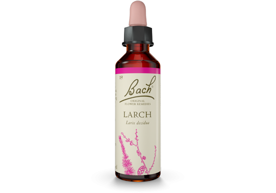 Bach Original Flower Essence Remedy Larch, 20ml