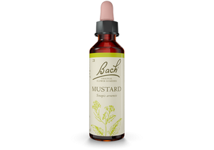Bach Original Flower Essence Remedy Mustard, 20ml