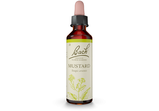 Bach Original Flower Essence Remedy Mustard, 20ml