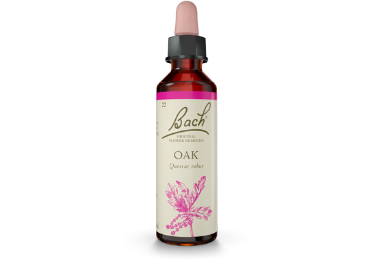 Bach Original Flower Essence Remedy Oak, 20ml