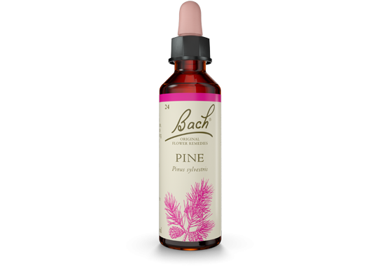 Bach Original Flower Essence Remedy Pine, 20ml