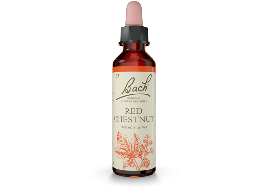 Bach Original Flower Essence Remedy Red Chestnut, 20ml