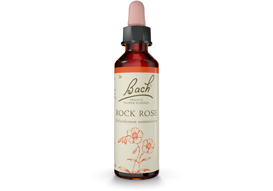 Bach Original Flower Essence Remedy Rock Rose, 20ml