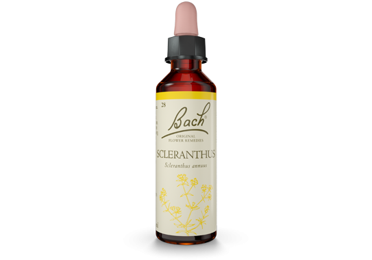 Bach Original Flower Essence Remedy Scleranthus, 20ml