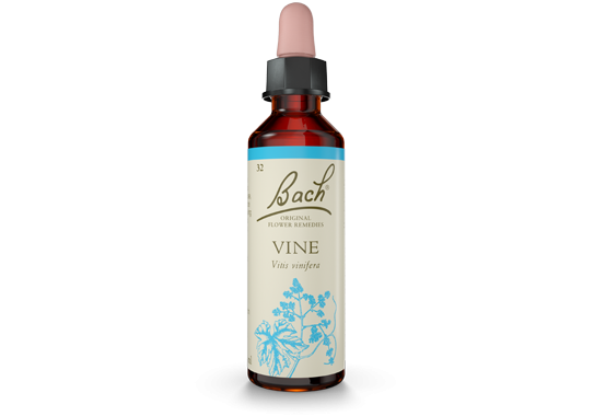 Bach Original Flower Essence Remedy Vine, 20ml