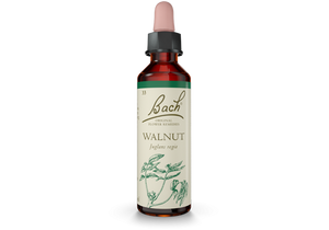 Bach Original Flower Essence Remedy Walnut, 20ml