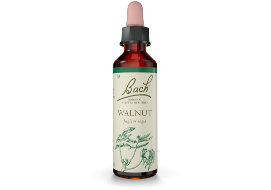 Bach Original Flower Essence Remedy Walnut, 20ml