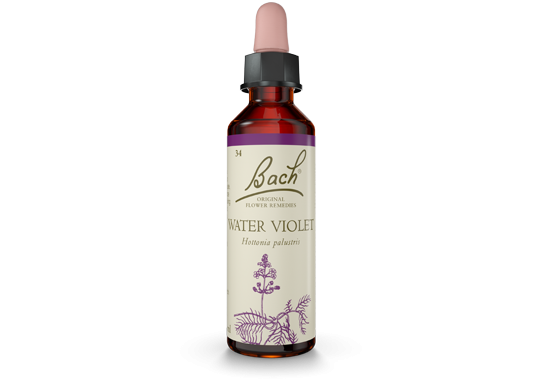 Bach Original Flower Essence Remedy Water Violet, 20ml