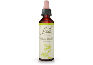 Bach Original Flower Essence Remedy Wild Rose, 20ml