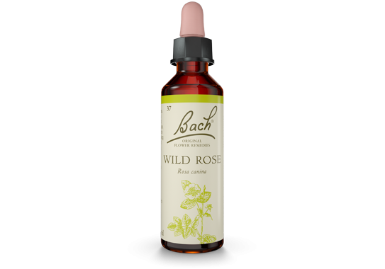 Bach Original Flower Essence Remedy Wild Rose, 20ml