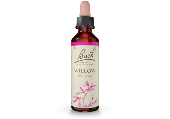 Bach Original Flower Essence Remedy Willow, 20ml