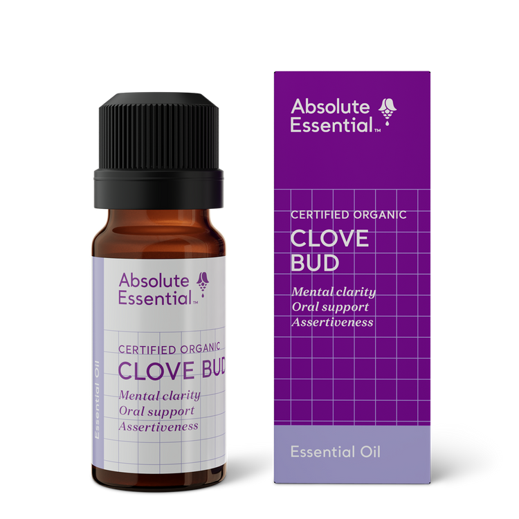 Absolute Essential Clove Bud (Organic), 10ml