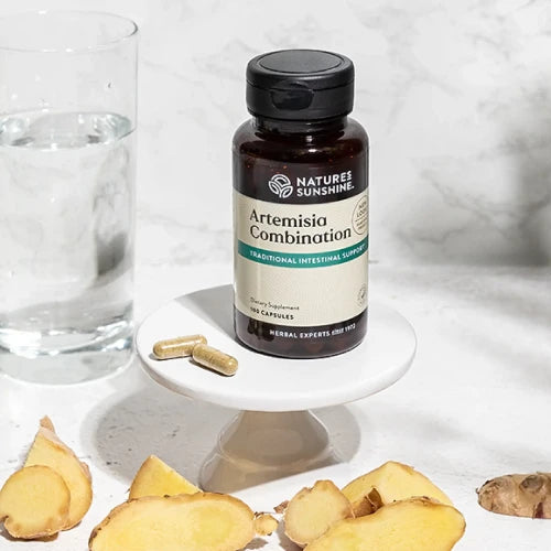 Natures Sunshine Artemisia Combination, 90 vcaps