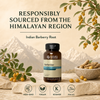 Natures Sunshine Berberine, 90 vcaps