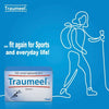 Heel Traumeel Tablets