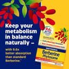 Enzymedica Berberine Phytosome, 60 Capsules - NZ Health Store