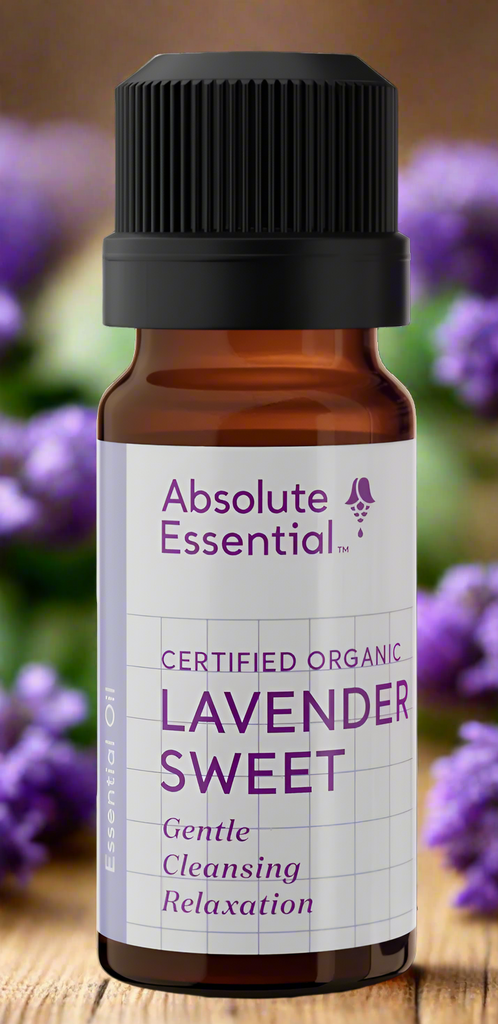 Absolute Essential Lavender Sweet Organic Essential Oil, 10ml