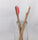 Do Gooder Soft Natural Handle Ecobrush Bamboo Toothbrush, Box of 12