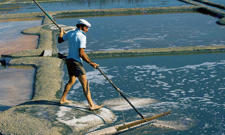 Lotus Celtic Sea Salt 500g