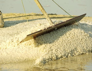 Lotus Celtic Sea Salt 500g